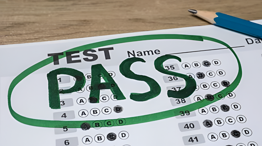 Praxis Exam Special Education Sample Test Questions