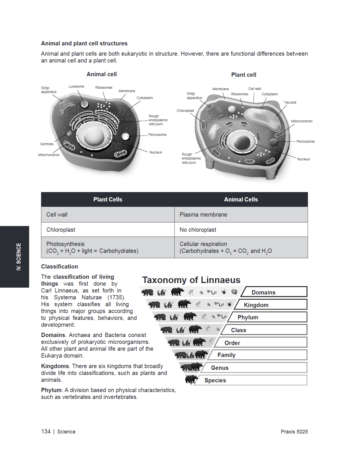 A scanned educational textbook page from Pearson Education, showing diagrams of animal and plant cell structures, a comparison table of animal and plant cells, and a taxonomy chart of Linnaean classification.